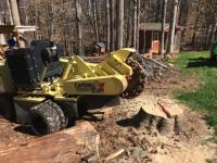 Alexandria Tree Services Unlimited image 3